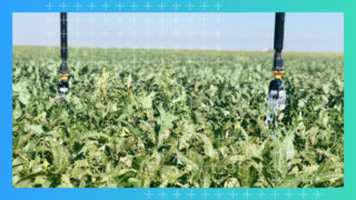 news-risk-averse-farmers-new-tech