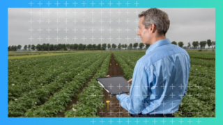 news-keep-farms-bank-accounts-green