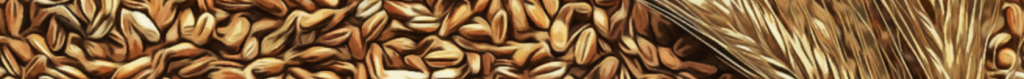 bg-footer-2