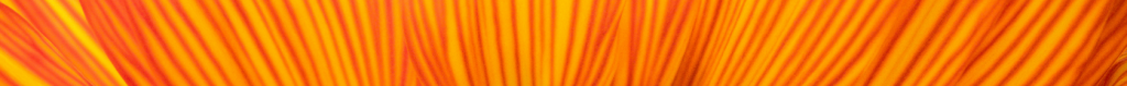 bg-footer-3