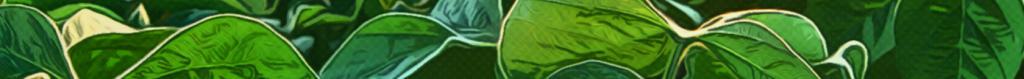 bg-footer-6