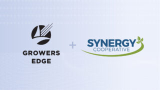 SYNERGY(N)