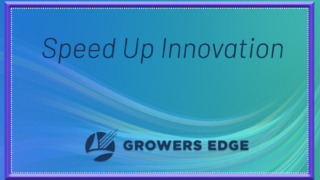 speed up innovation