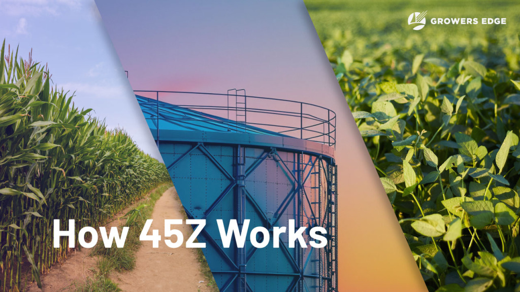 Three-part image: corn field, refinery, soy field. The words "How 45Z Works" are in the lower left-hand corner